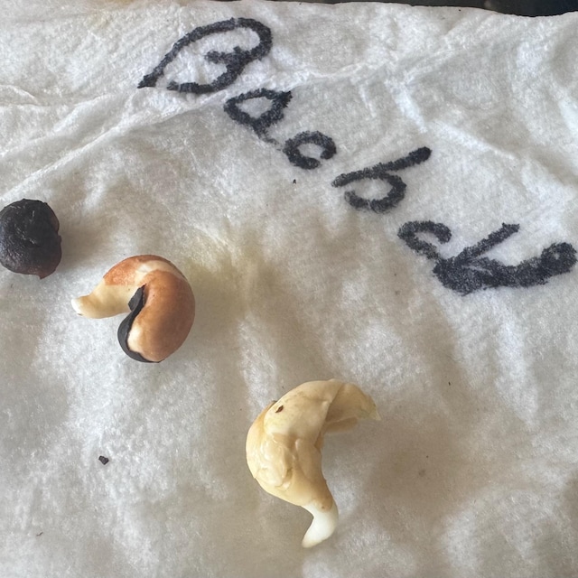 Photo from Sharon's review